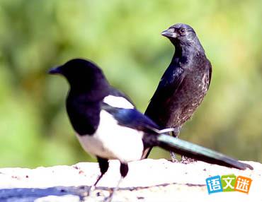 ��ѻ��ϲȵ��Ԣ�Թ���