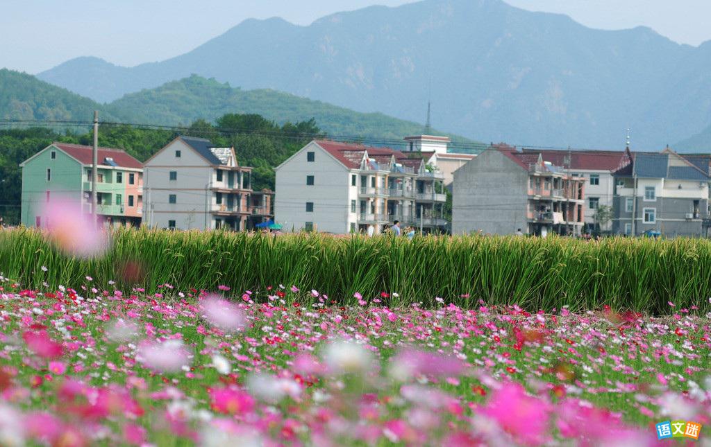 ����߿��߷����ĵľ��ʽ�β