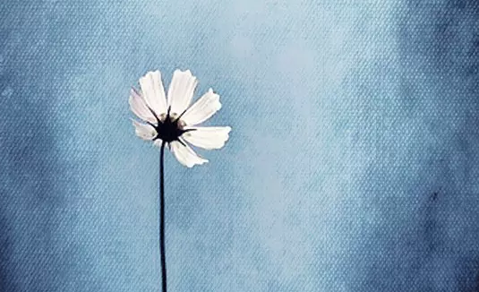 ������£���������