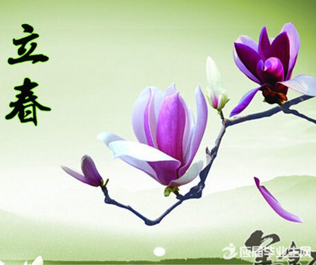 2016年2月4日立春是几点