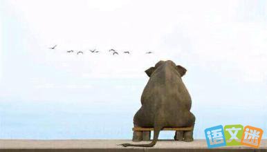 �������£��׵���޵�������