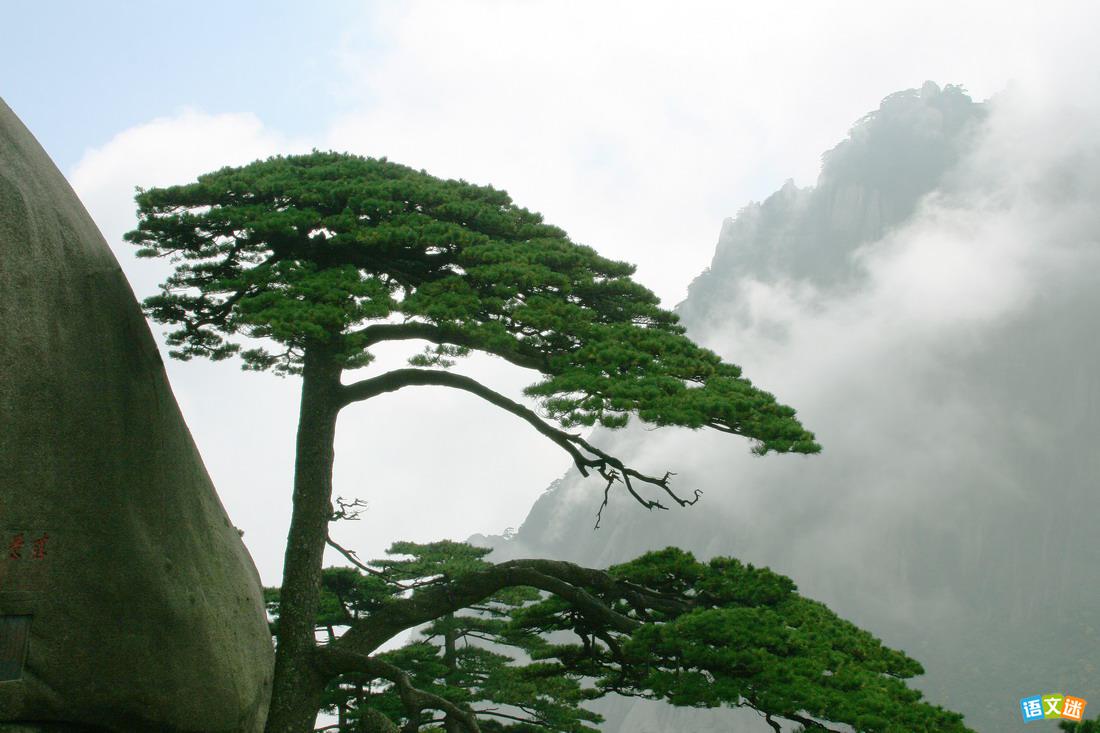 ���»����������ز�