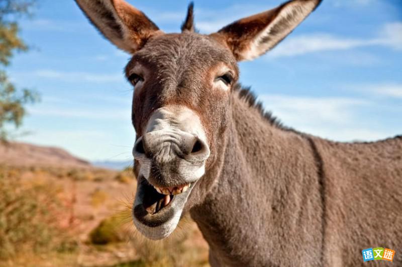 �йط�¿�����ĳ������