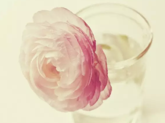 �߿������زģ�������ϧ