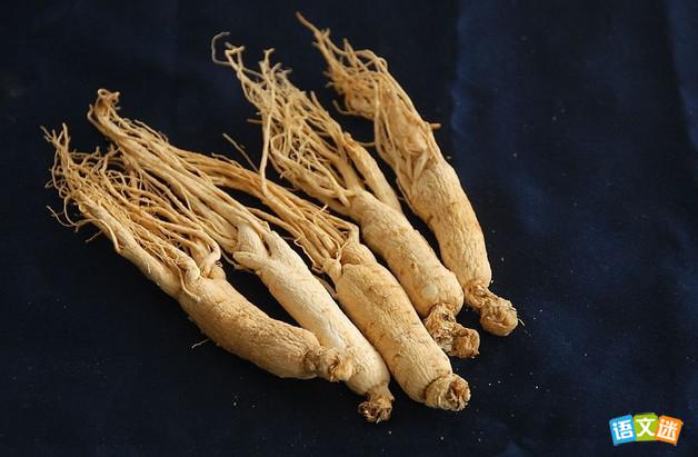 �Ŵ����˲ε��ų�