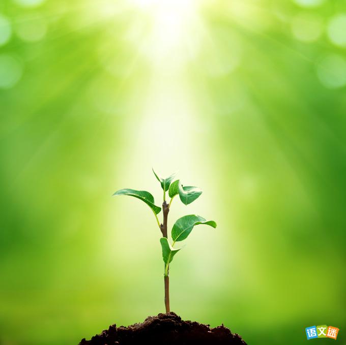 ��������������п������ز�