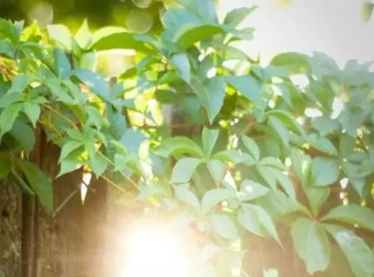 ������£���������