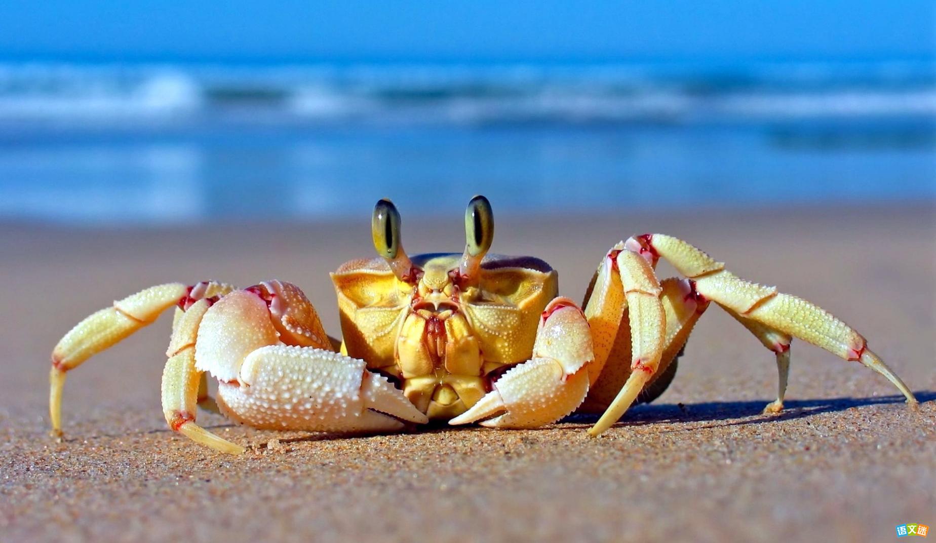 ���������زģ��������з