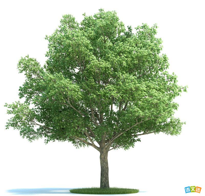 �߿��زĻ��ۣ�����һ������