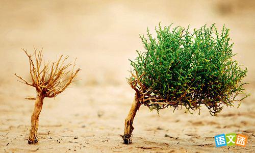 11����ڡ�ѡ�񡱵������ز�