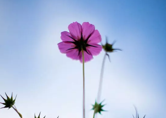 �������|ʹ������