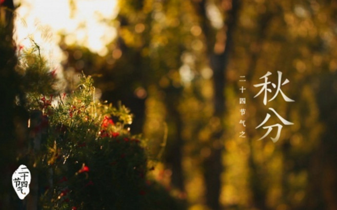 �п������ز�������������ֵ�ʫ��