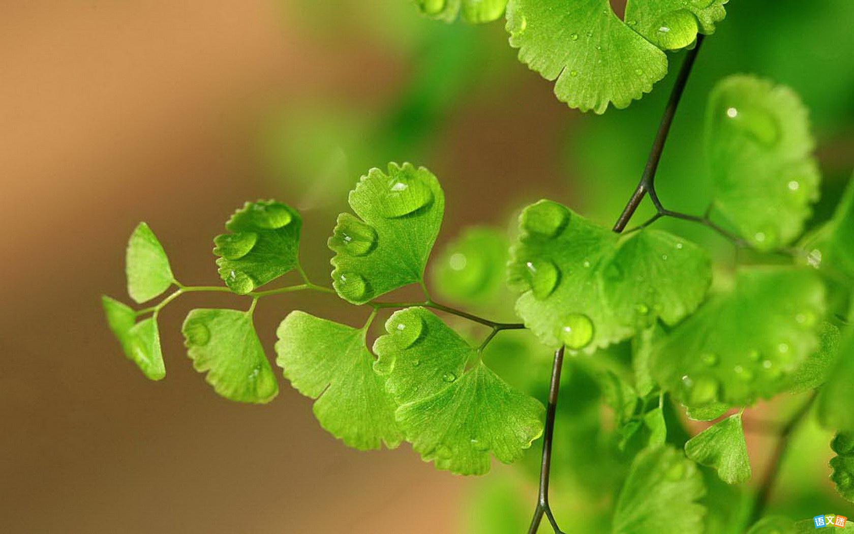 �߿�д���زģ�������Ľ��