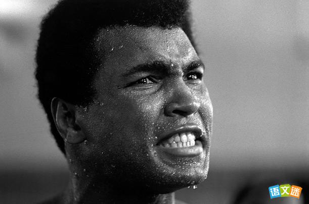 2017��߿�����д���زģ�����