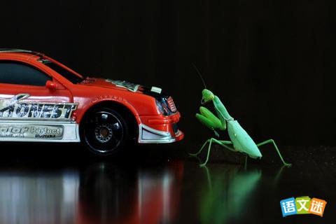 �۵����Ĺ���