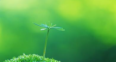 ��־����������������