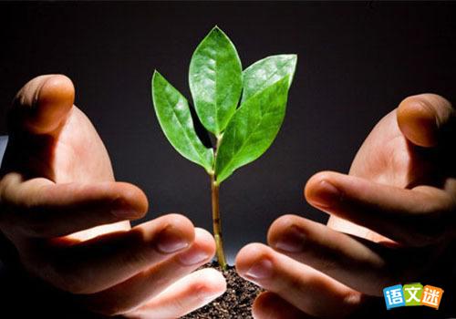 以尊重为话题的高考作文材料