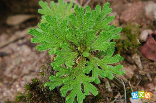 �������£�����·����