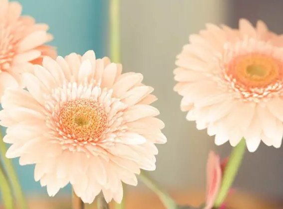 ������£����Ӣ��