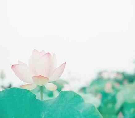 һ��Ů�˱��������˵˵