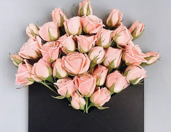 ���˵Ĺ����زľ�ѡ6��