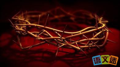 �ɹ�·�ϳ�����������������