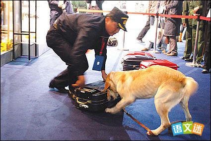 ����Ӣ��������ս�ѣ�����Ȯ�Ĺ���