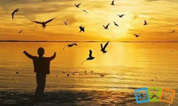 把人生当哲学过的哲理故事