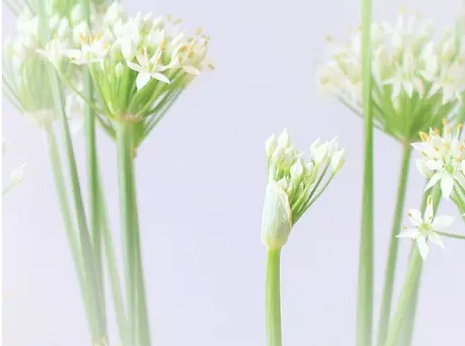 Ӣ��ôʺþ�ժ��