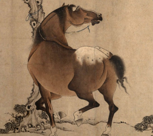 ���ĳ����������Щ