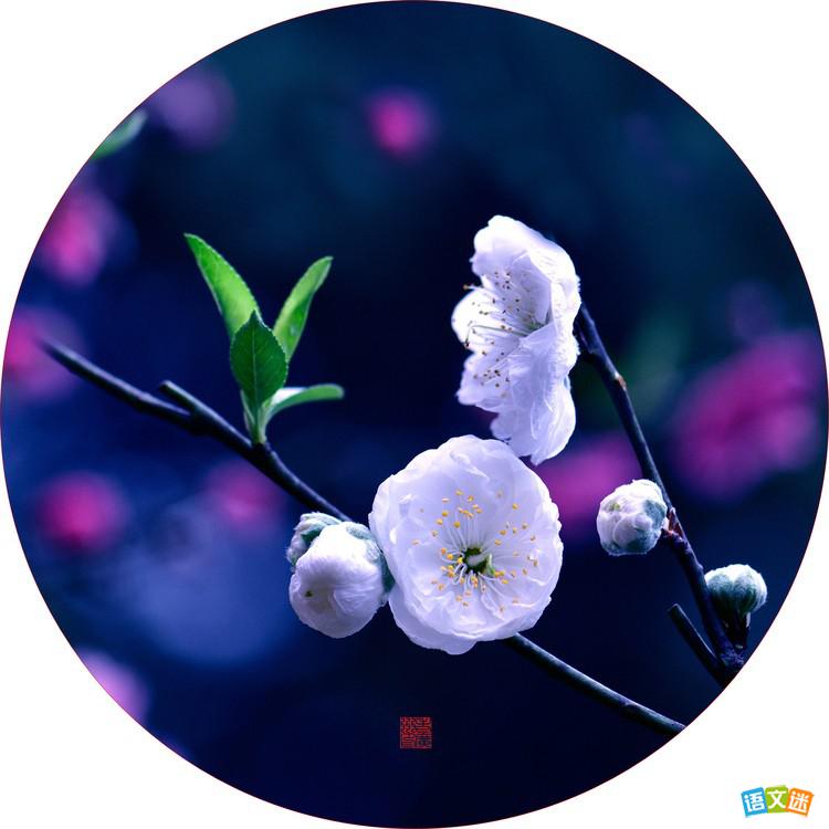 10���ؿ��Ľ�����������