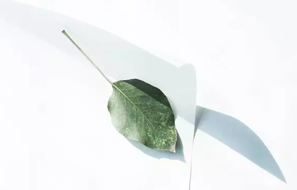 �߿������ز�ժ��