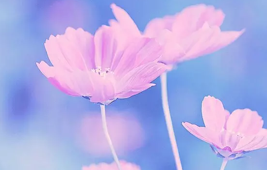 ������£�����֮Σ