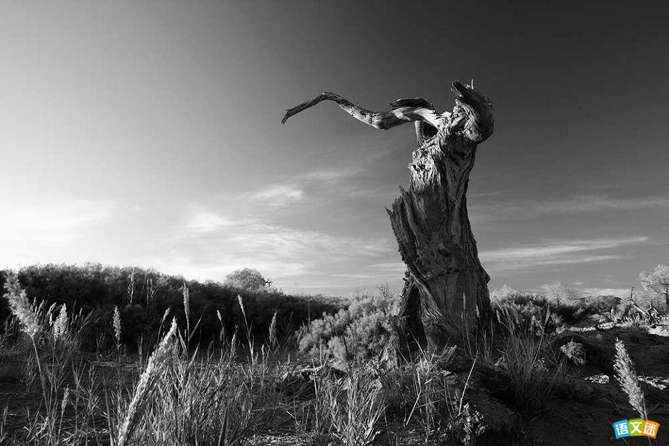 ��������Ĺ���