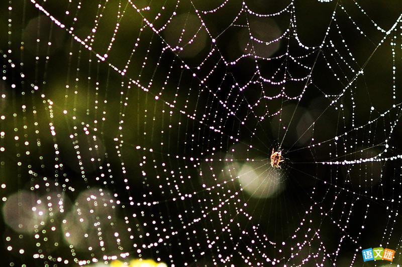 �������������д���ز�