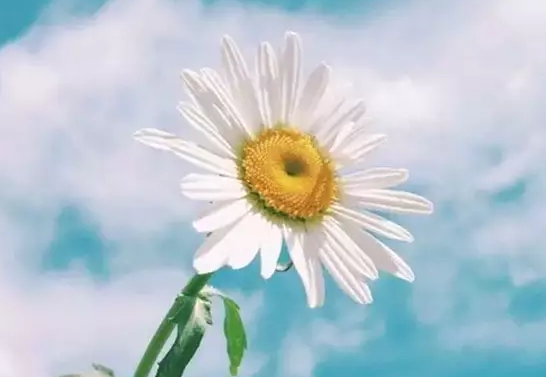 ���˹����زģ�³Ѹ����