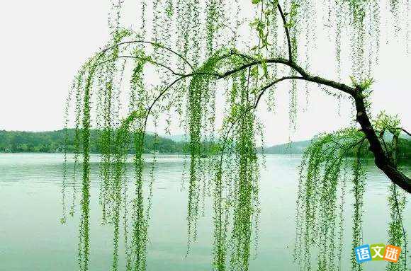 �߿��״�����