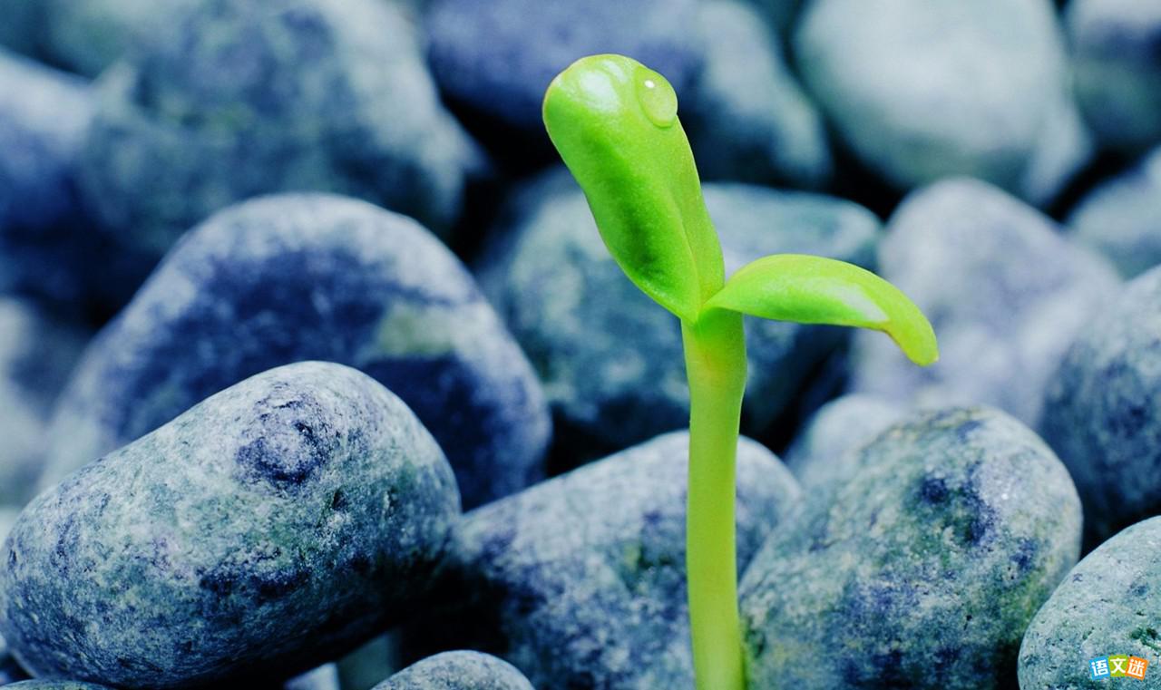 ������Ϊ����ĸ߿��ز�