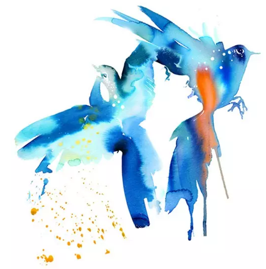 ������£����ڲ�ͬ