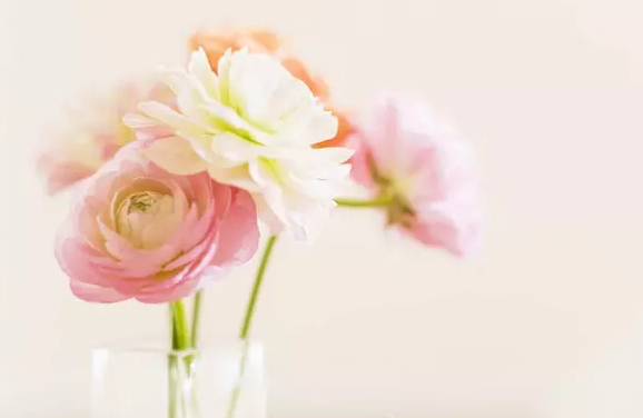 �߿������زģ������ж�