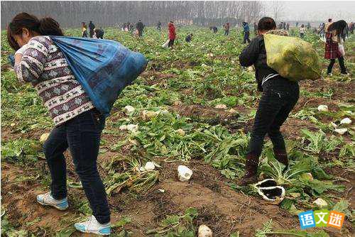 �й������µĸ߿��ȵ��ز�