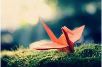 ˭��������������