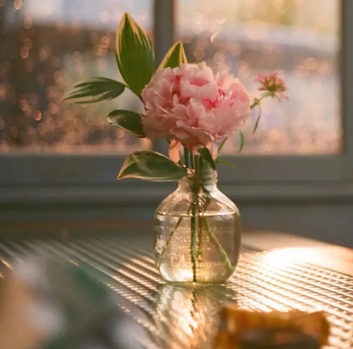 �������¾�ѡ3ƪ