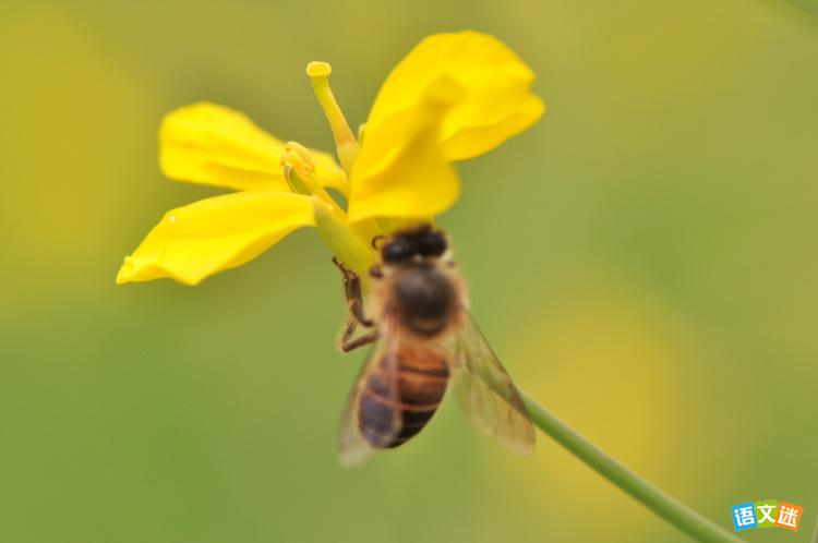 ����ֺ�����Ӯ�Ĺ���