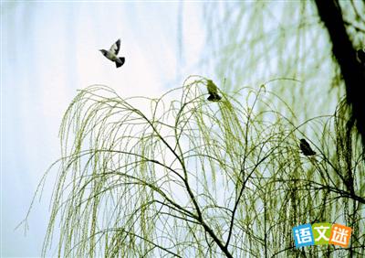 �п������زģ��������Ӿ�ѡ