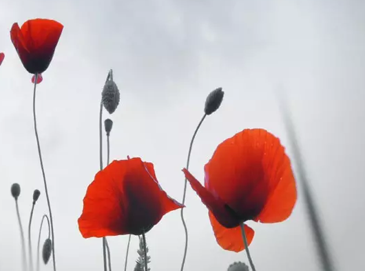 ������£�����ʰ��