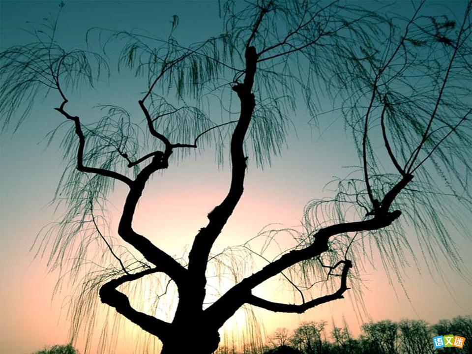 ǰͽ����ĳ������