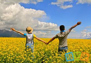 �������£�����ڵ��㹽��