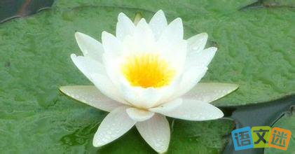 �������£�������һ�������Ļ�