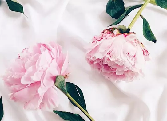 �п����������ز�Ʒ��